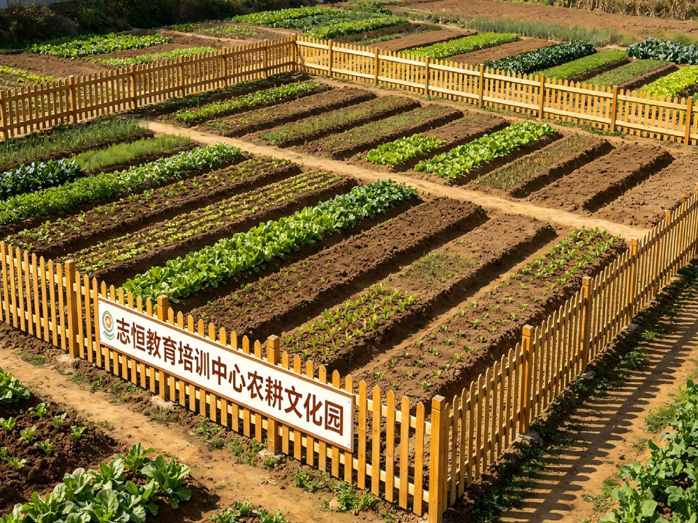 怒江孩子厌学不读书管教学校怎么联系